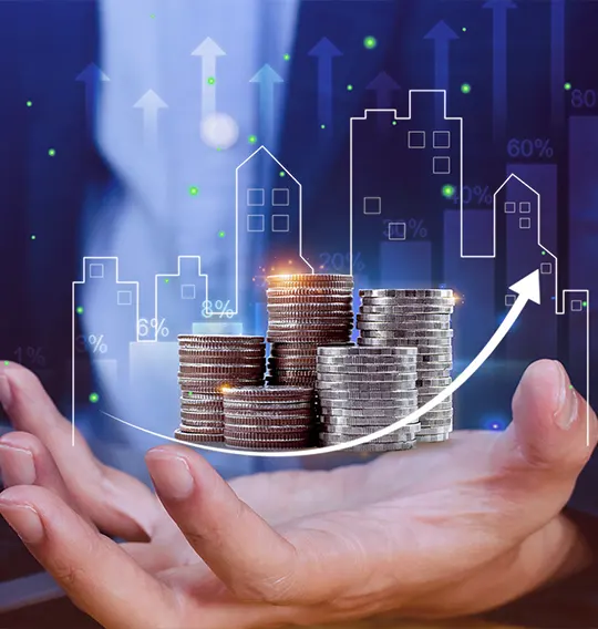 Strategic Governance & Investment